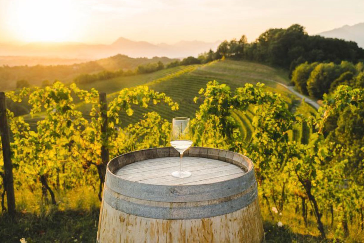 Friuli-Venezia Giulia: white wines of excellence | Blog | Svinando