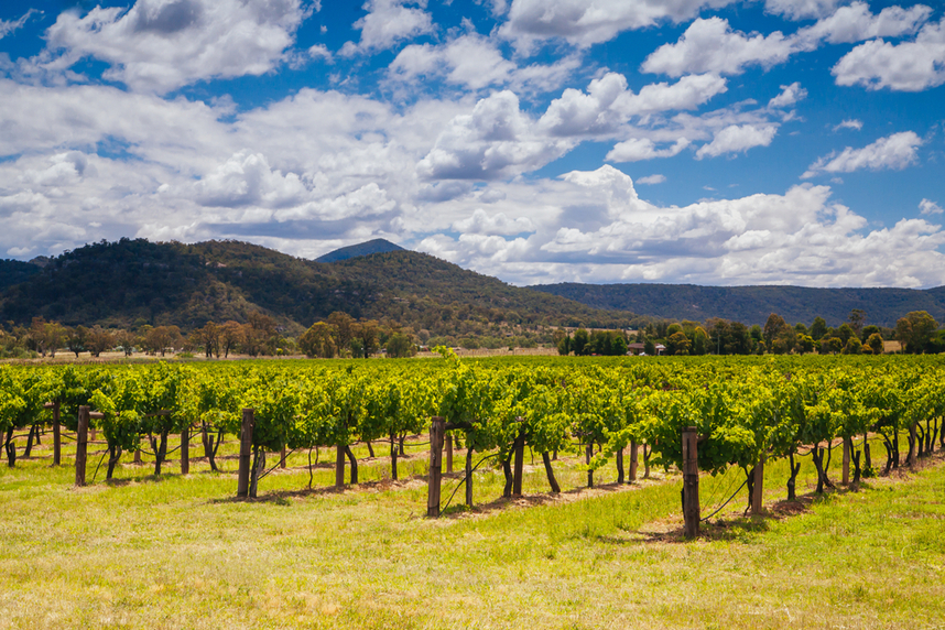 Australian wine regions