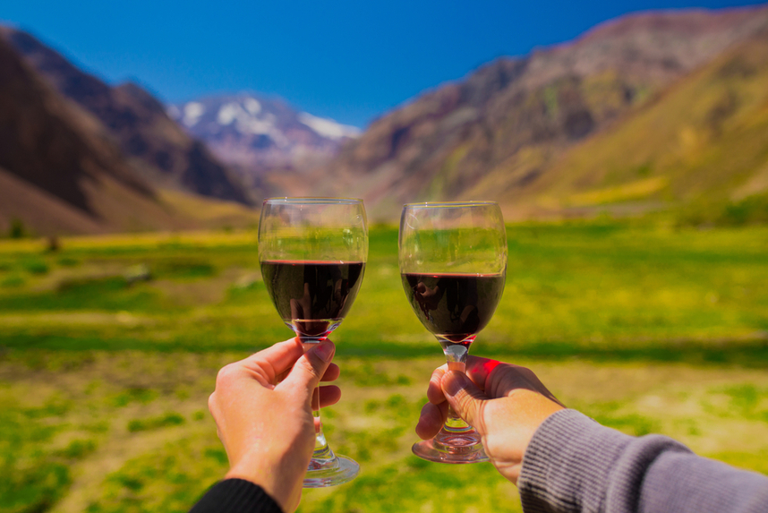 Chilean wines characteristics and pairings