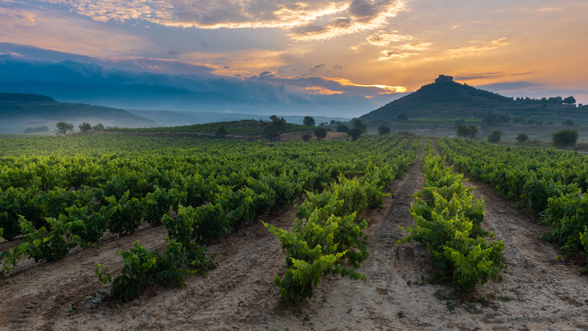 spanish vineyards and terroirs